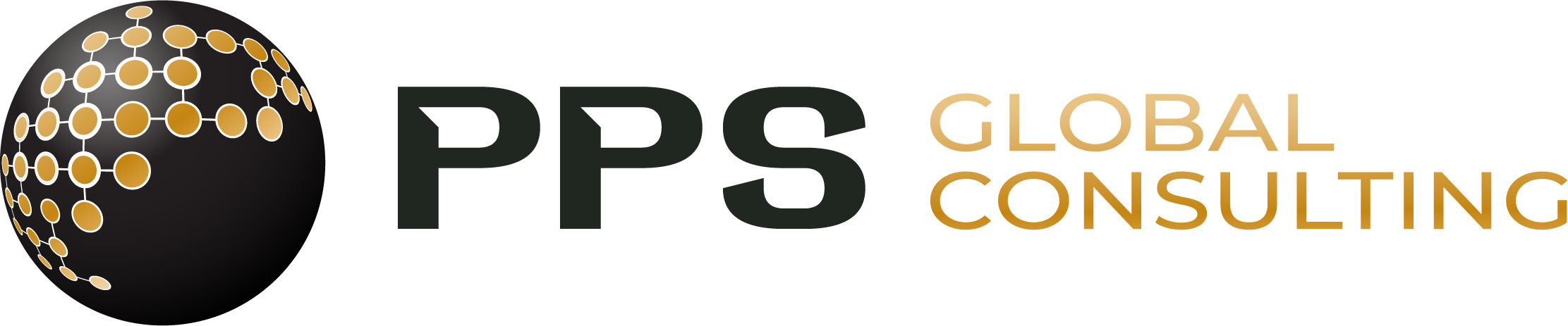 PPS Global Consulting LLC